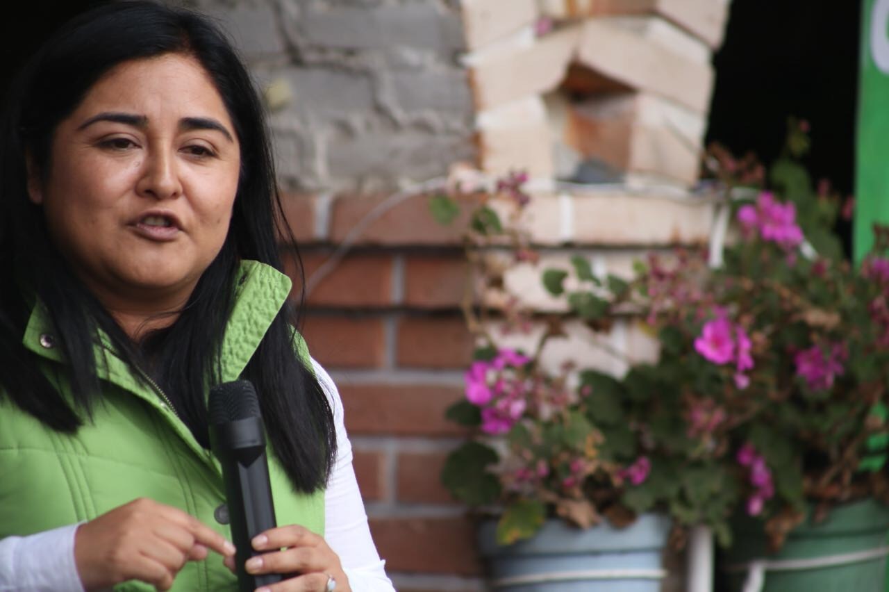 Seguridad social para las trabajadoras domésticas: Anabel Alvarado